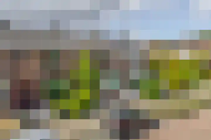 Beukenlaan 14 Spijkenisse thumbnail 10