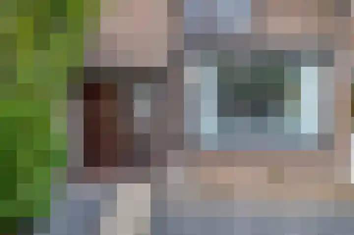 Beukenlaan 14 Spijkenisse thumbnail 11