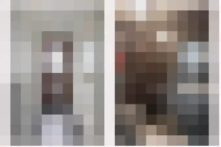Beukenlaan 14 Spijkenisse thumbnail 12