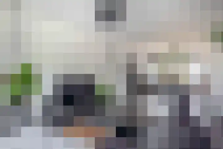 Beukenlaan 14 Spijkenisse thumbnail 15