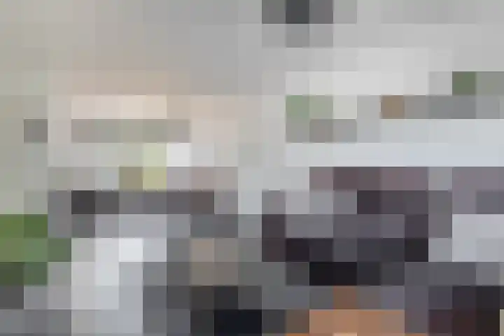 Beukenlaan 14 Spijkenisse thumbnail 16