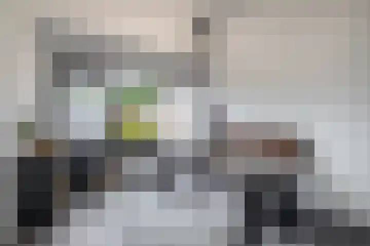 Beukenlaan 14 Spijkenisse thumbnail 17