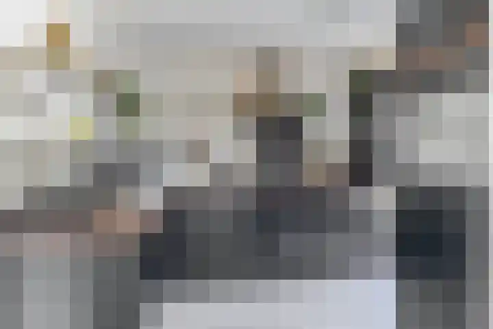 Beukenlaan 14 Spijkenisse thumbnail 18