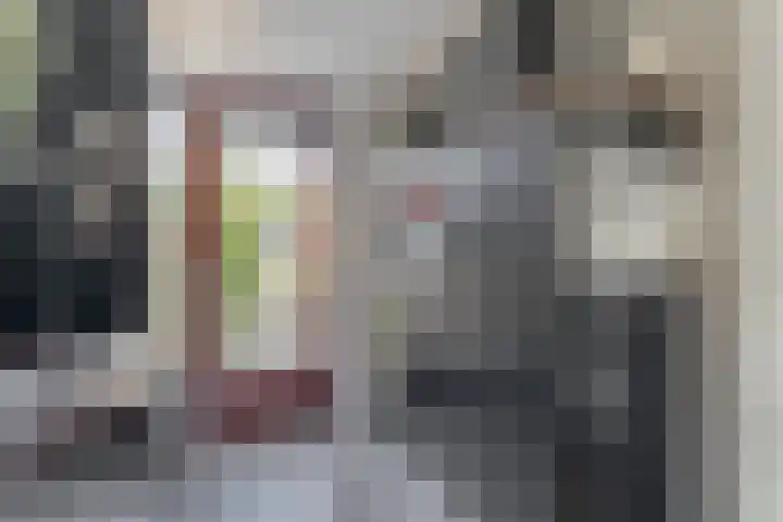 Beukenlaan 14 Spijkenisse thumbnail 20