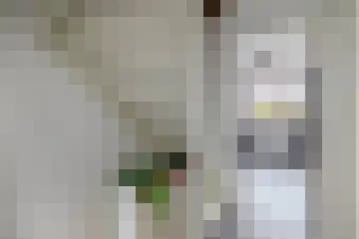 Beukenlaan 14 Spijkenisse thumbnail 21