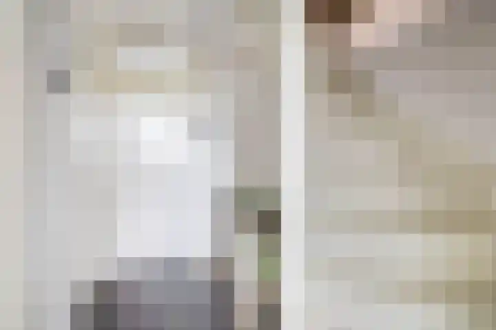 Beukenlaan 14 Spijkenisse thumbnail 22