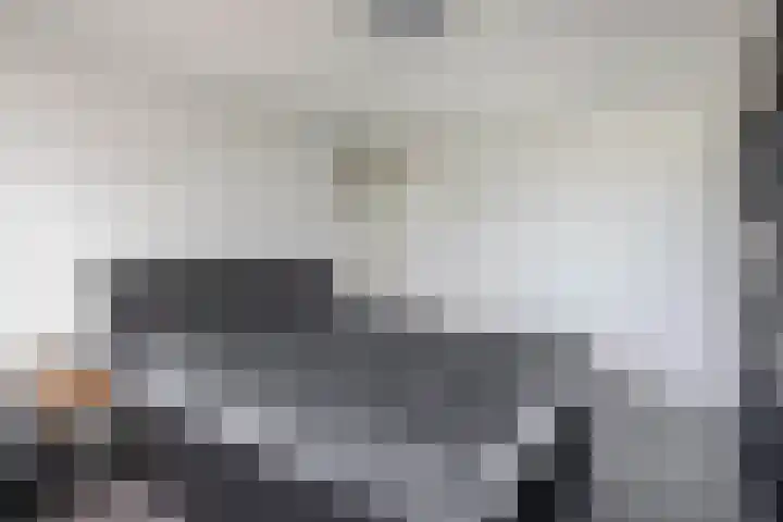 Beukenlaan 14 Spijkenisse thumbnail 23