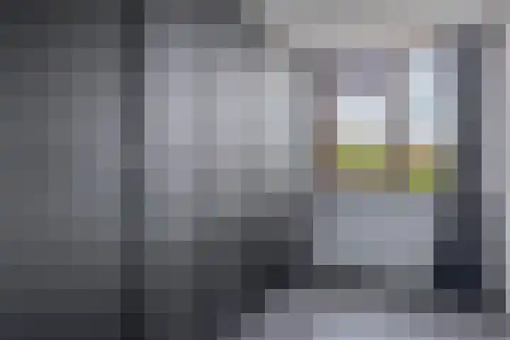 Beukenlaan 14 Spijkenisse thumbnail 24
