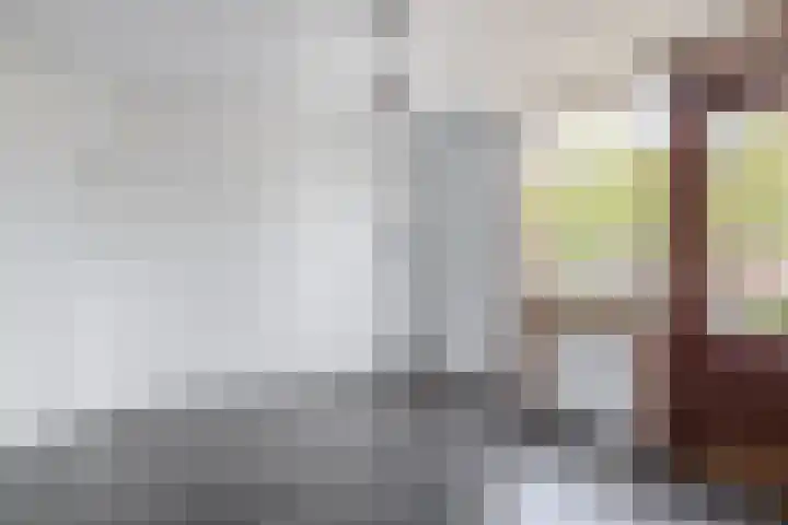 Beukenlaan 14 Spijkenisse thumbnail 25