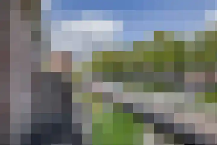 Beukenlaan 14 Spijkenisse thumbnail 26