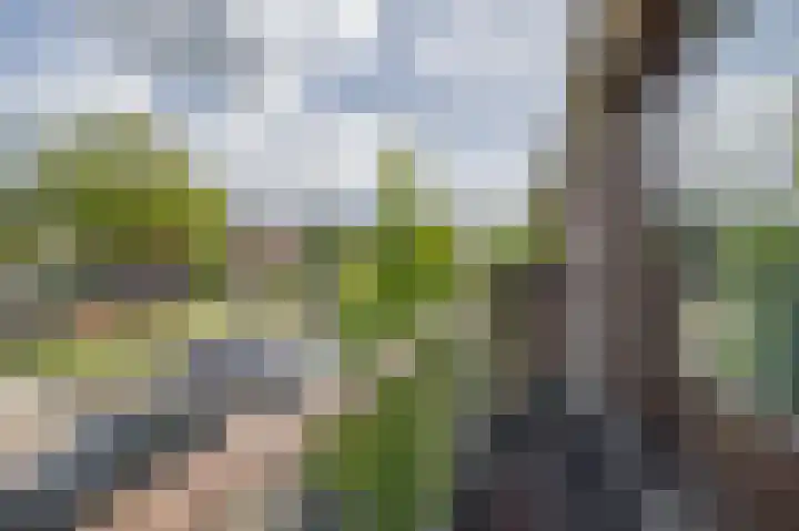 Beukenlaan 14 Spijkenisse thumbnail 27