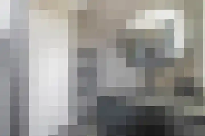 Beukenlaan 14 Spijkenisse thumbnail 30