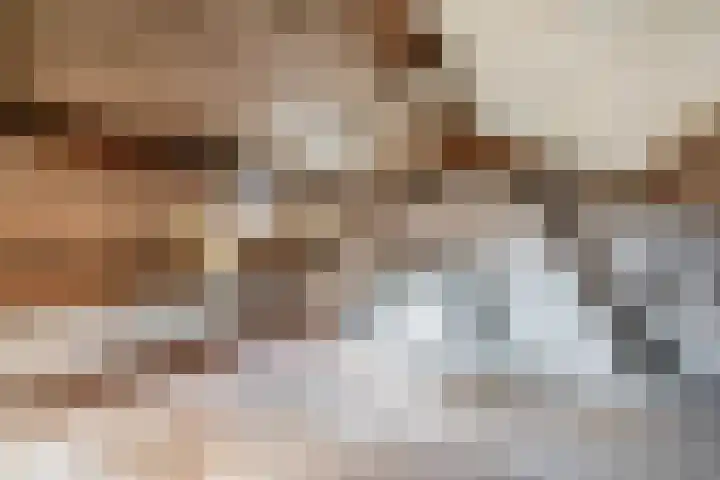 Beukenlaan 14 Spijkenisse thumbnail 32