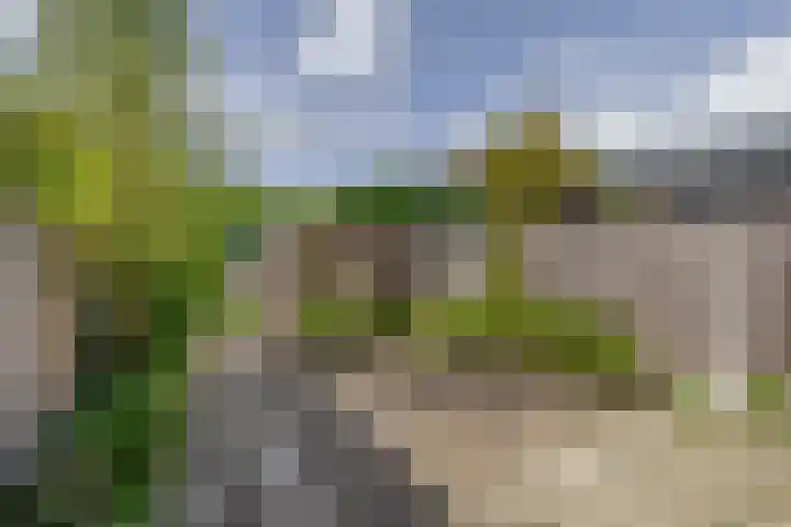 Beukenlaan 14 Spijkenisse thumbnail 34