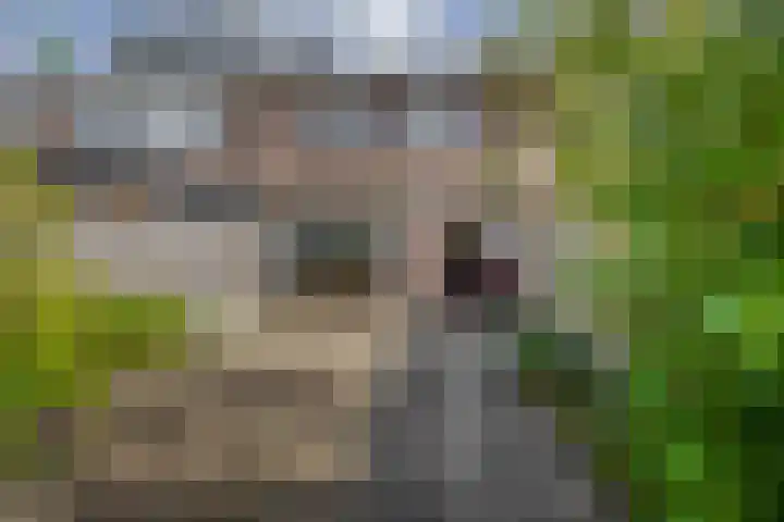 Beukenlaan 14 Spijkenisse thumbnail 35
