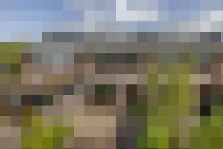 Beukenlaan 14 Spijkenisse thumbnail 36