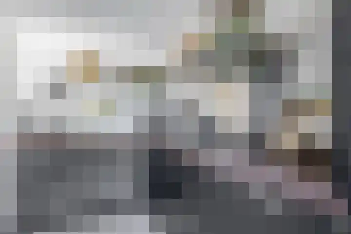 Beukenlaan 14 Spijkenisse thumbnail 4