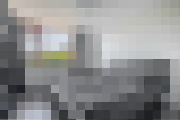 Beukenlaan 14 Spijkenisse thumbnail 5