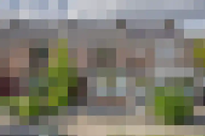 Beukenlaan 14 Spijkenisse thumbnail 6
