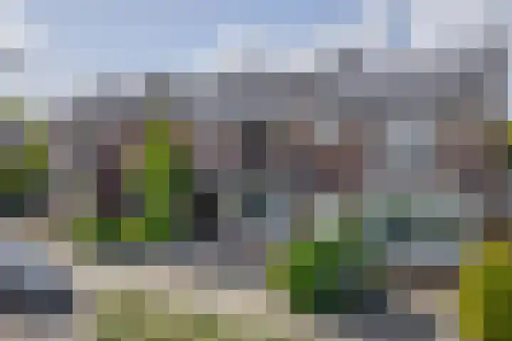 Beukenlaan 14 Spijkenisse thumbnail 8