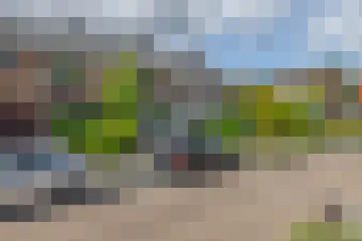 Beukenlaan 14 Spijkenisse thumbnail 9