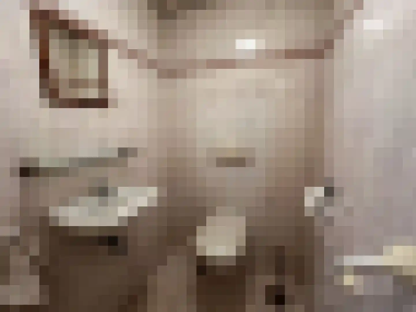 Beukenlaan 14 Zundert thumbnail 10