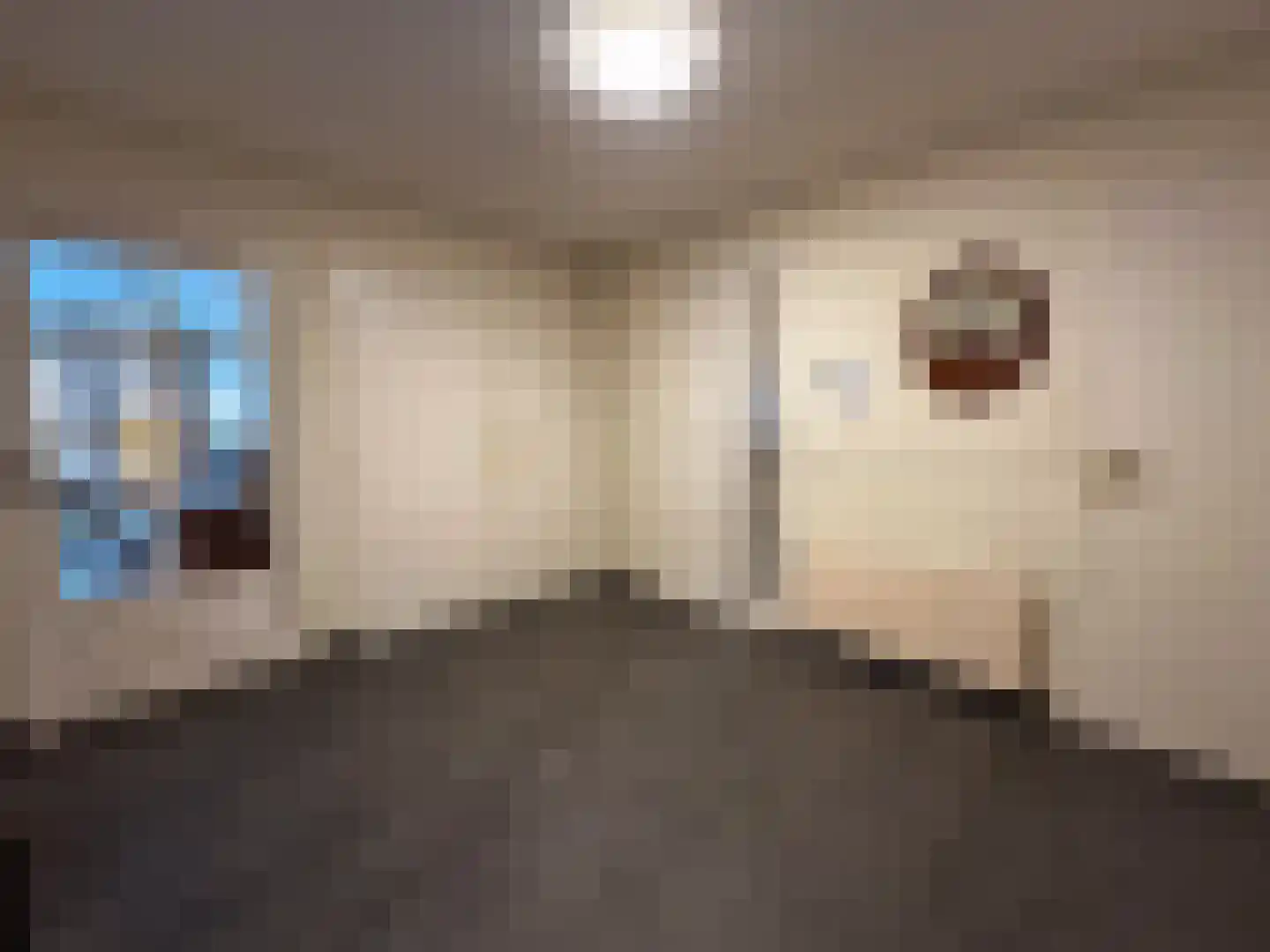 Beukenlaan 14 Zundert thumbnail 11