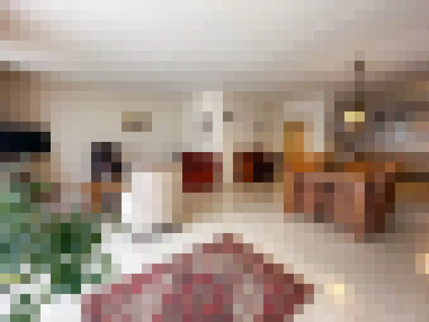 Beukenlaan 14 Zundert thumbnail 14