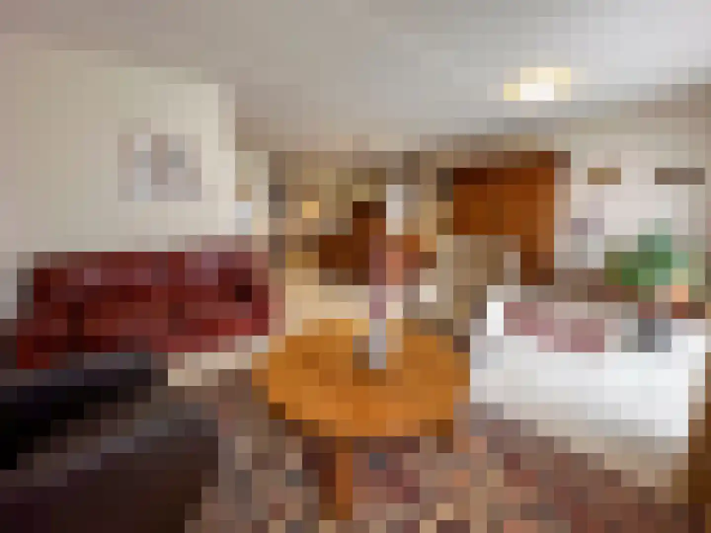 Beukenlaan 14 Zundert thumbnail 15