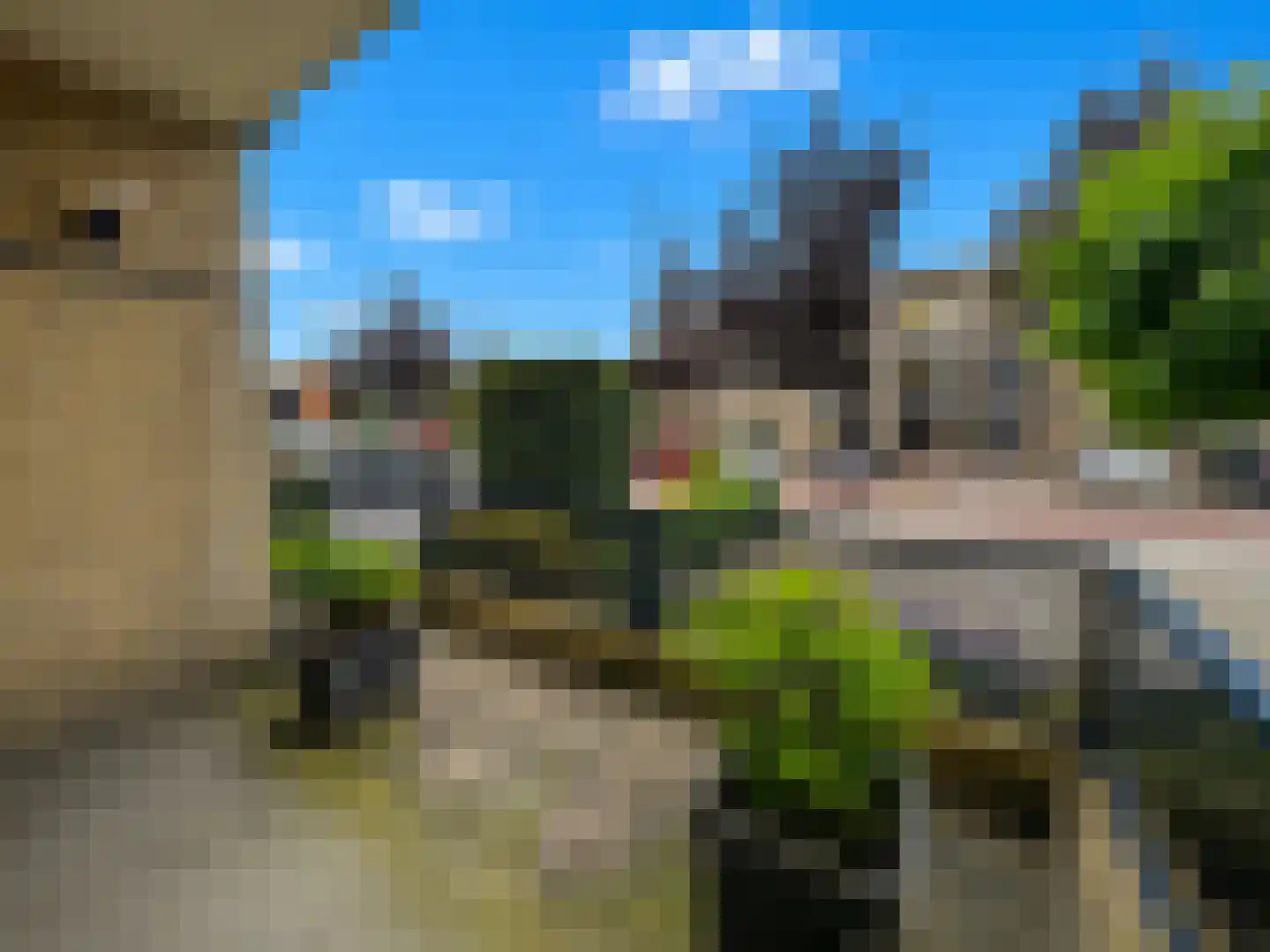 Beukenlaan 14 Zundert thumbnail 17