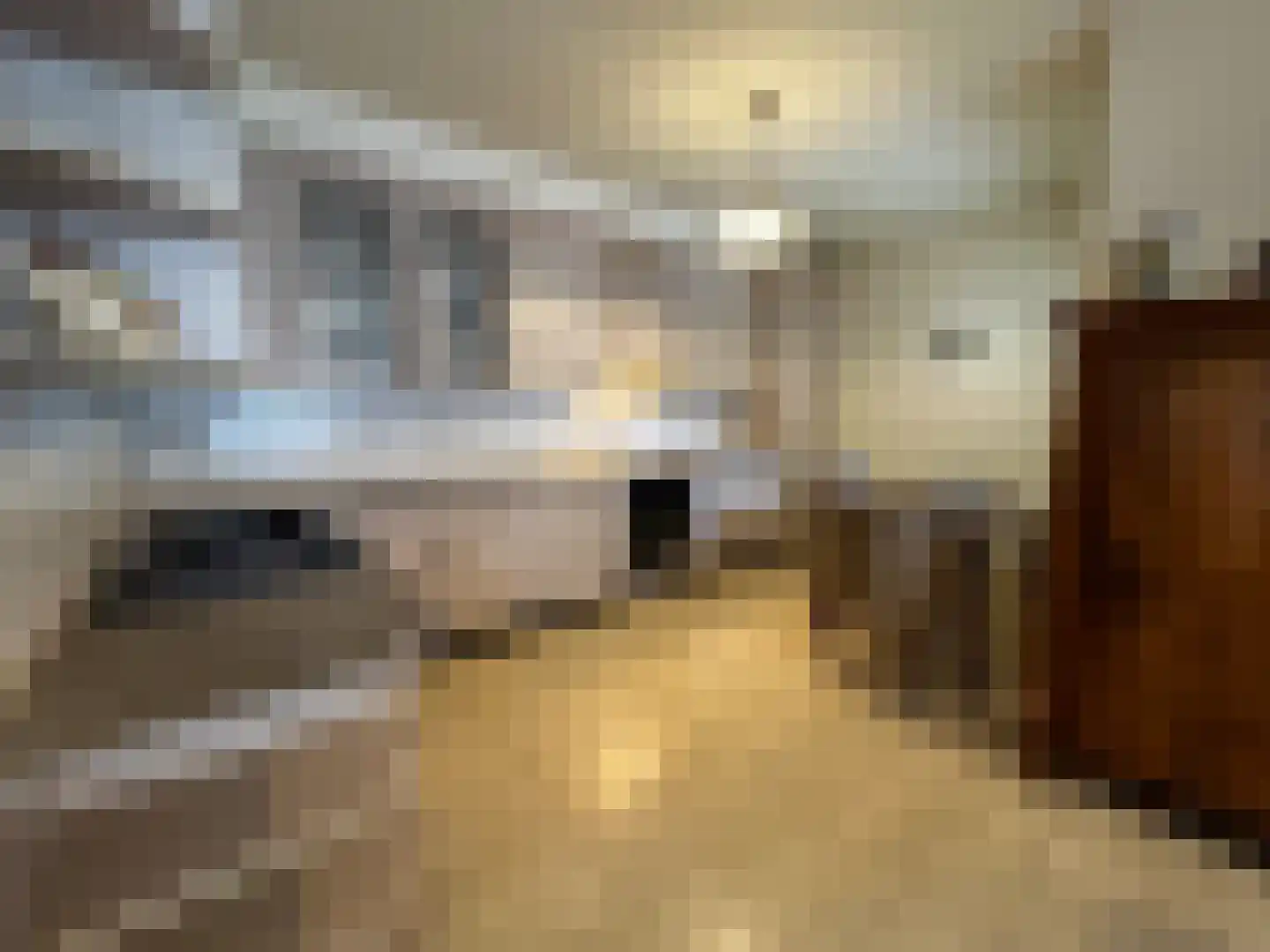 Beukenlaan 14 Zundert thumbnail 19