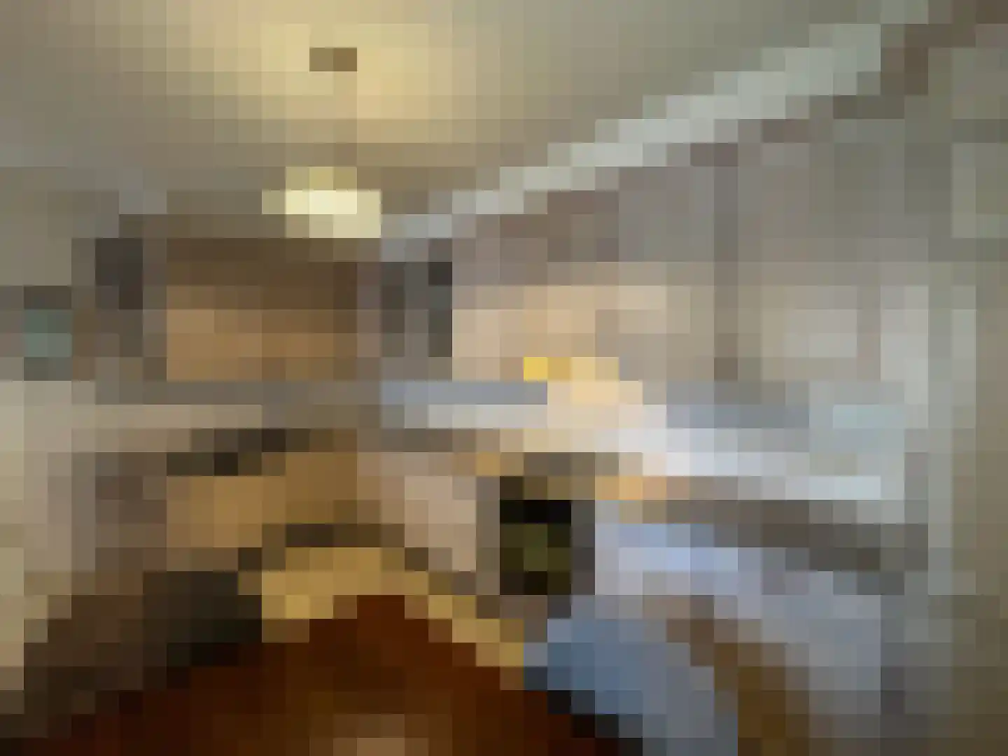 Beukenlaan 14 Zundert thumbnail 20