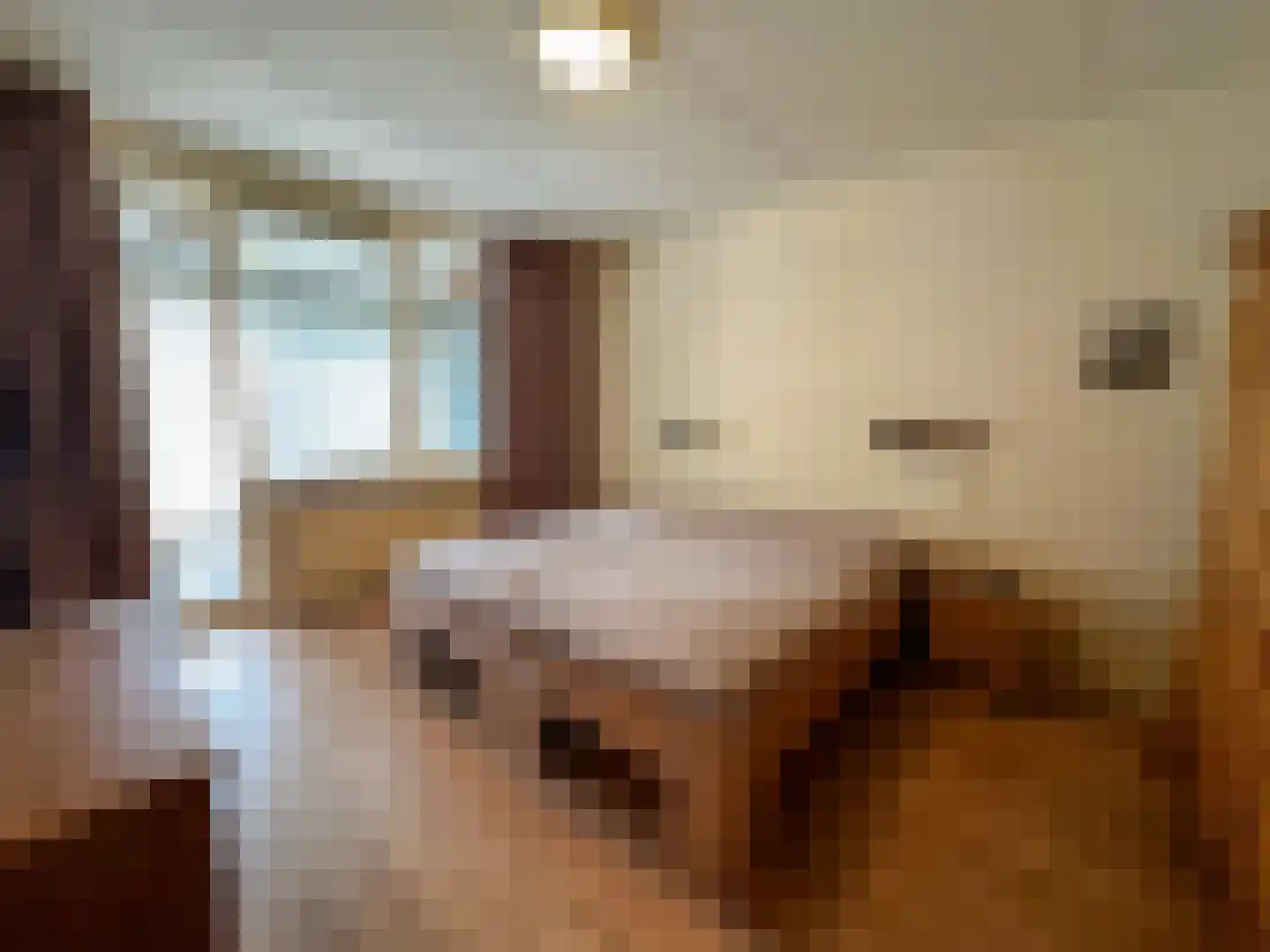 Beukenlaan 14 Zundert thumbnail 21