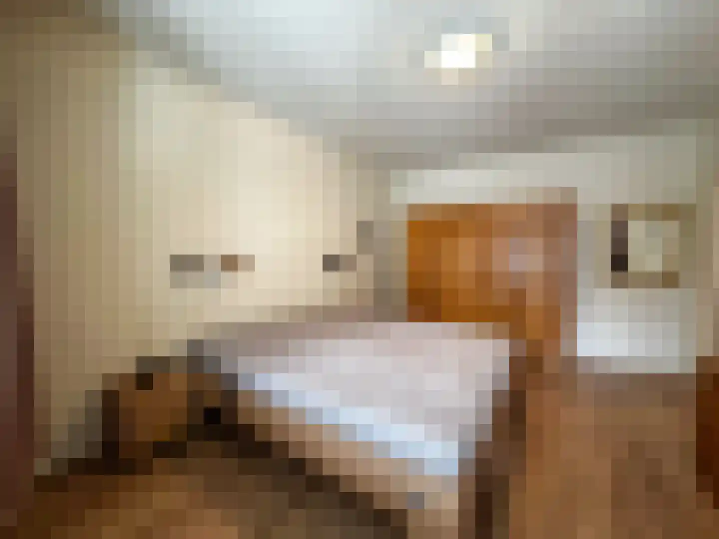 Beukenlaan 14 Zundert thumbnail 22