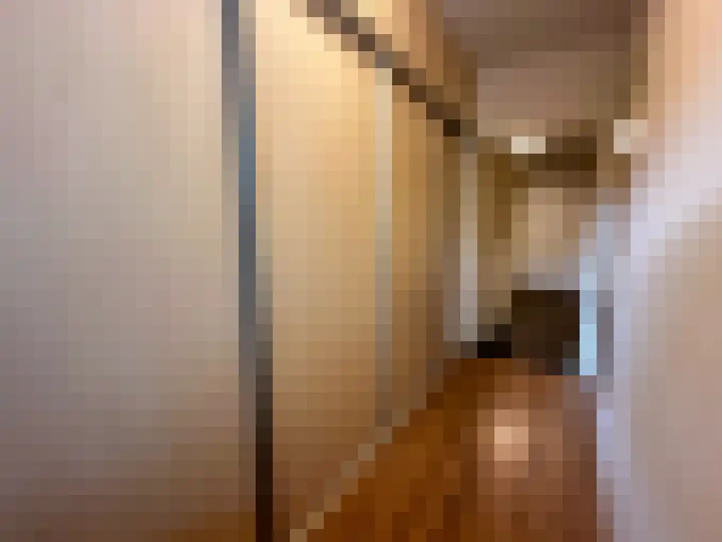 Beukenlaan 14 Zundert thumbnail 25