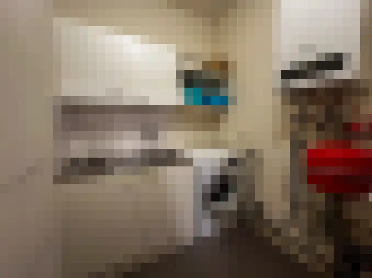 Beukenlaan 14 Zundert thumbnail 26