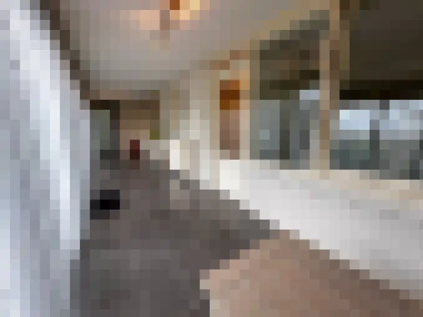 Beukenlaan 14 Zundert thumbnail 27
