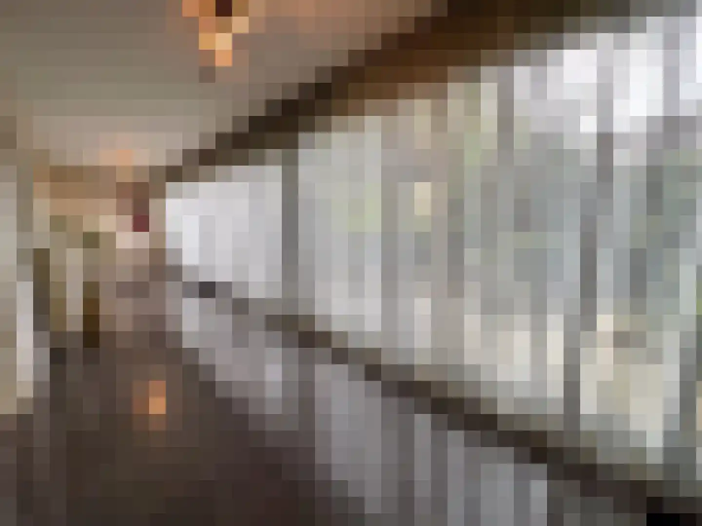 Beukenlaan 14 Zundert thumbnail 28