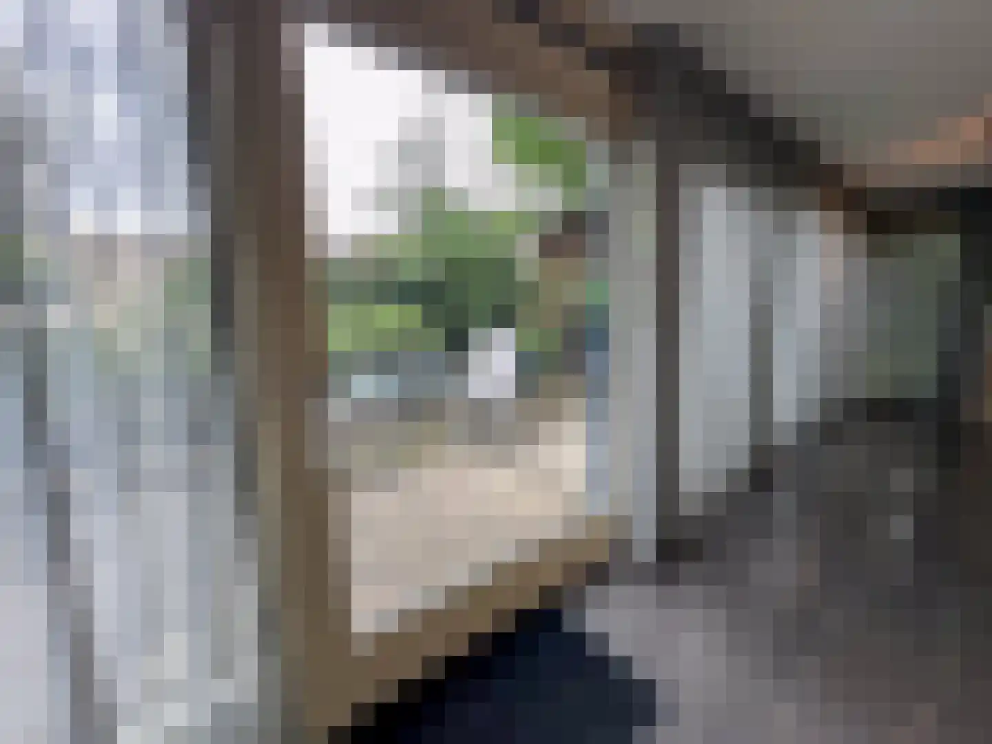 Beukenlaan 14 Zundert thumbnail 29