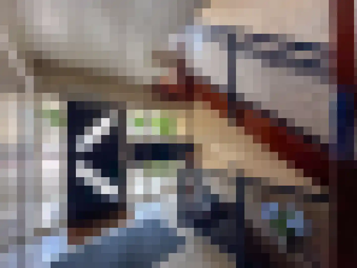 Beukenlaan 14 Zundert thumbnail 32