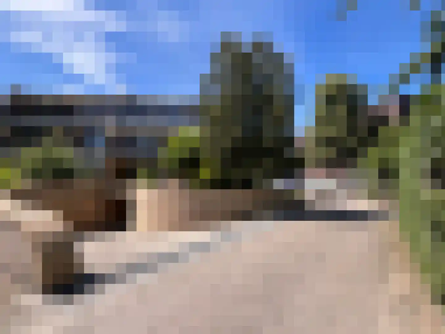 Beukenlaan 14 Zundert thumbnail 38