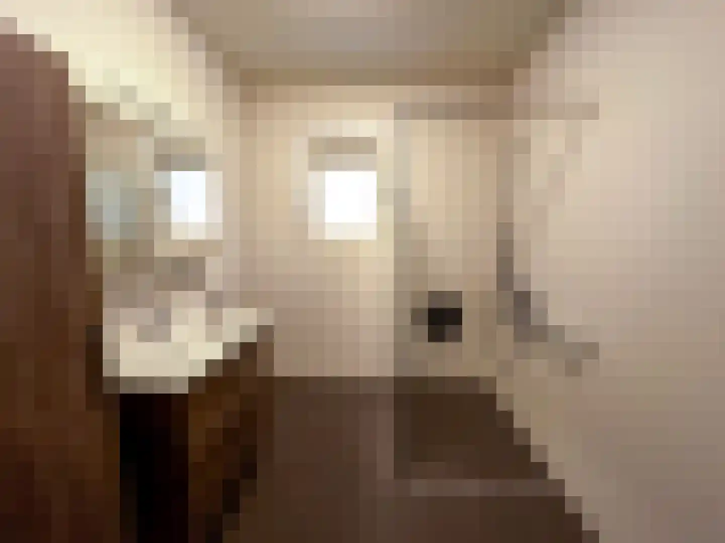 Beukenlaan 14 Zundert thumbnail 4