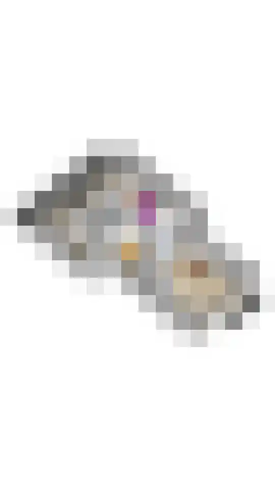 Beukenlaan 14 Zundert thumbnail 47