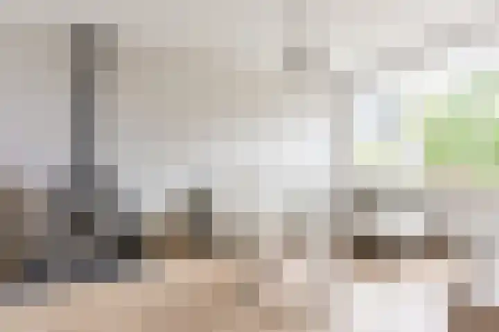 Beukenlaan 15 Alphen aan den Rijn thumbnail 11