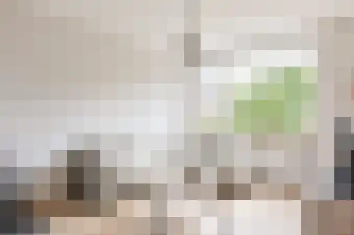 Beukenlaan 15 Alphen aan den Rijn thumbnail 12