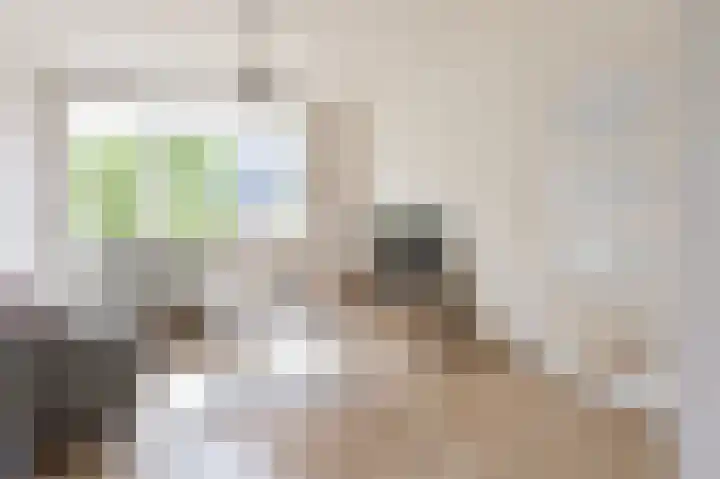 Beukenlaan 15 Alphen aan den Rijn thumbnail 13
