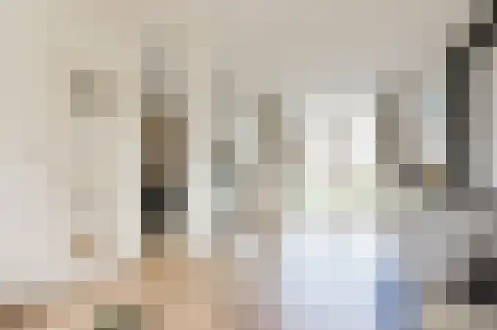 Beukenlaan 15 Alphen aan den Rijn thumbnail 15