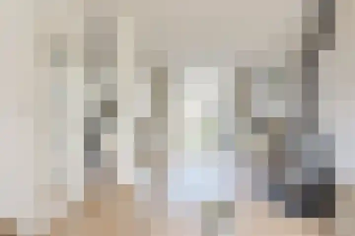 Beukenlaan 15 Alphen aan den Rijn thumbnail 16