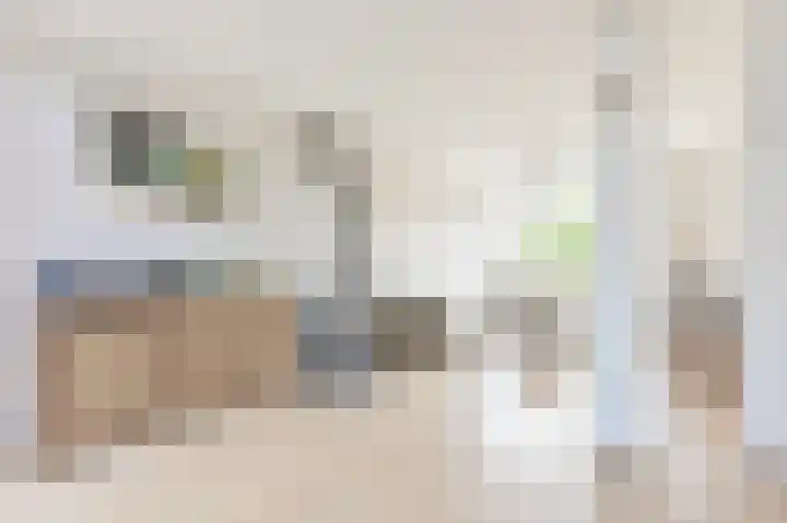 Beukenlaan 15 Alphen aan den Rijn thumbnail 17