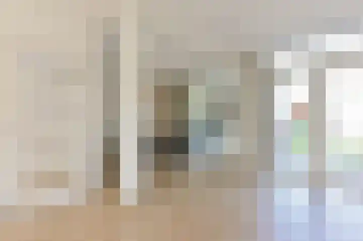 Beukenlaan 15 Alphen aan den Rijn thumbnail 21